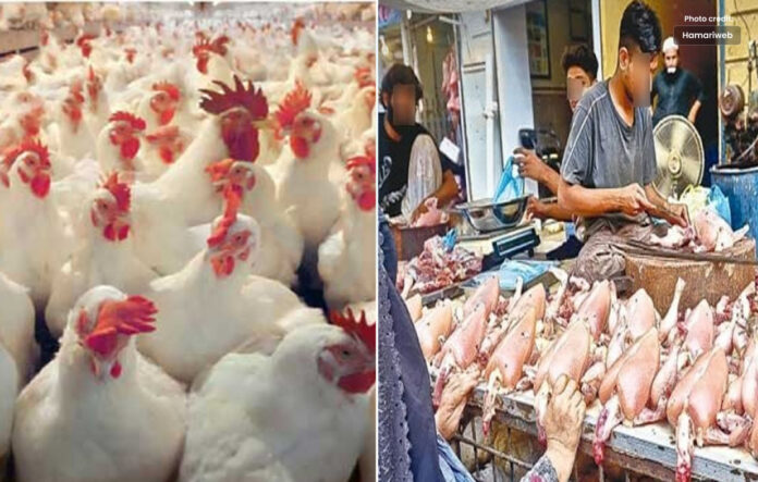 مرغی کی قیمت عوام کی خرید سے باہر، قیمتوں میں خود ساختہ اضافہ
