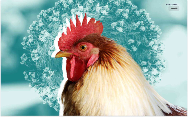 برڈ فلو کا پہلا کیس ایک انسان میں پایا گیا۔