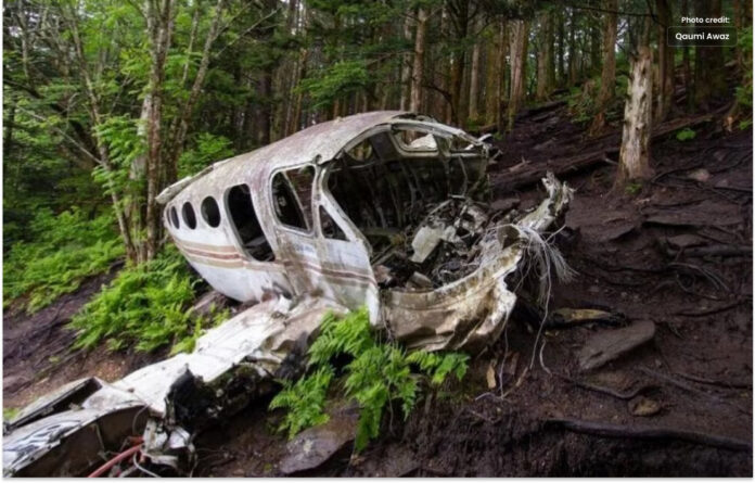 طیارہ حادثہ جنگل میں بچے 16 دن زندہ رہے