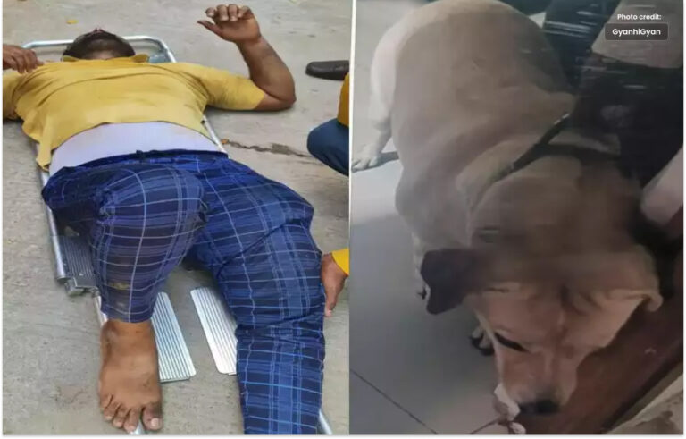 ڈیلیوری بوائے  نےتیسری منزل سےچھلانگ لگا دی