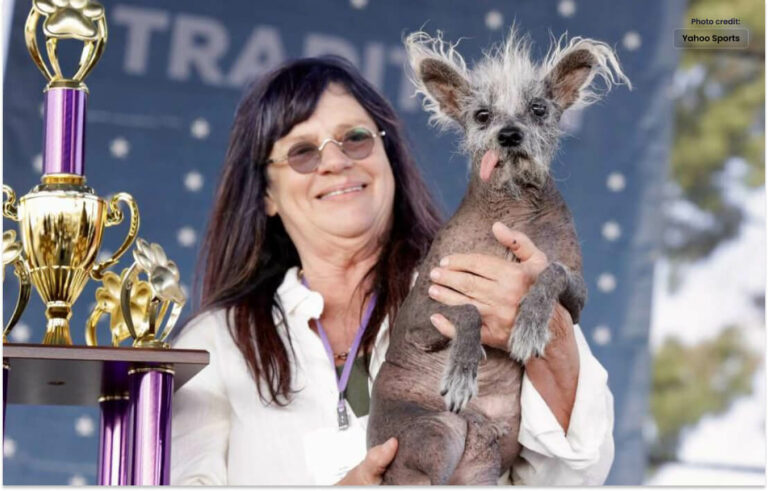 اسکوٹر  نے دنیا کے بدصورت کتوں کا مقابلہ  جیت لیا