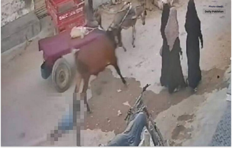 کراچی میں  قربانی کے بیل نے کم سن بچے کو مار ڈالا