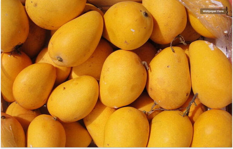 پاکستان آم کی برآمدی ہدف حاصل نہیں کرسکا