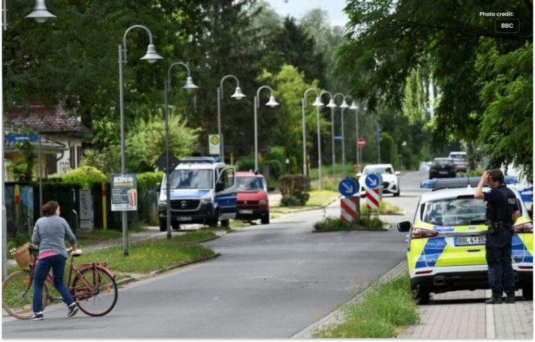 پولیس برلن میں  شیر کو تلاش کر رہی ہے