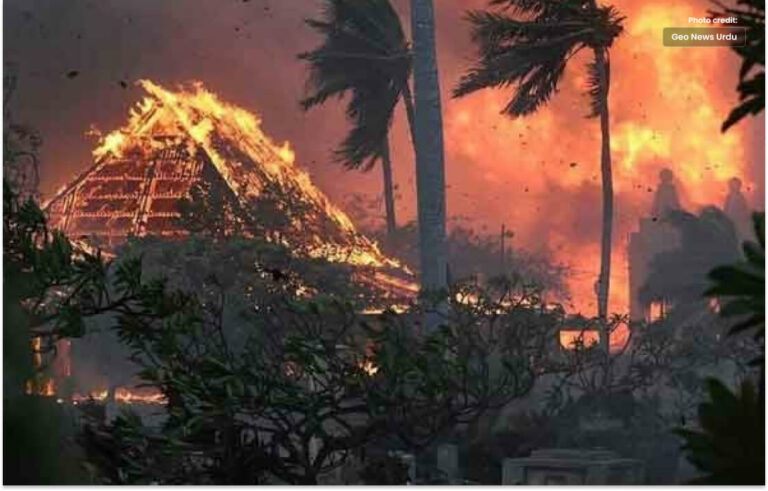 امریکہ کے جنگلات میں بدترین آگ،  93 افراد جاں بحق
