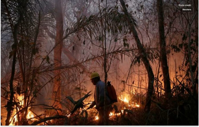 امریکی جنگلات میں آگ لگنے سے 36 افراد جاں بحق