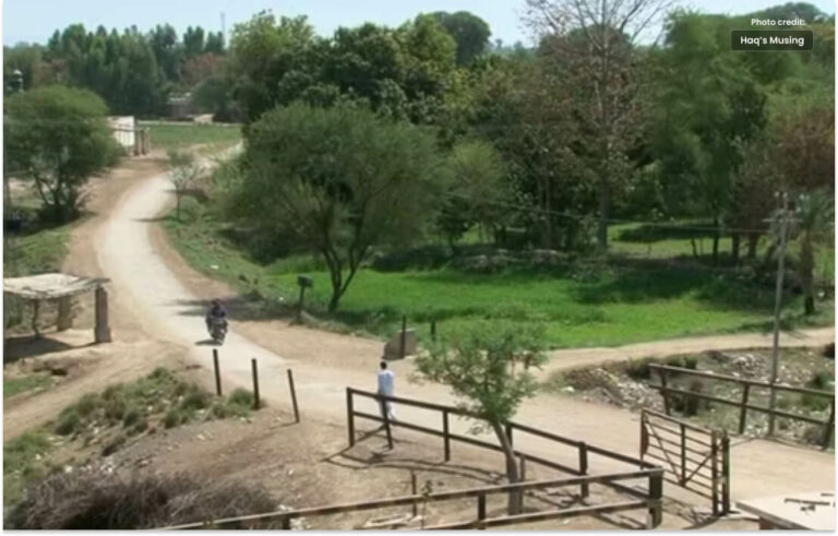 راجن پور  کے گاؤں میں شرح خواندگی سو فیصد ہے