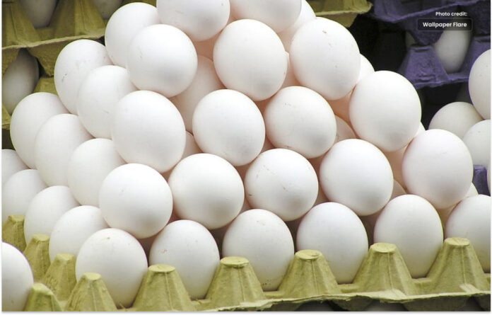 انڈوں کی قیمت میں زبردست کمی ریکارڈ کی گئی ہے